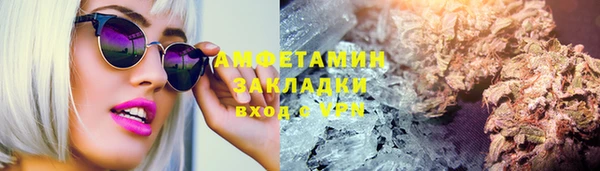 ПСИЛОЦИБИНОВЫЕ ГРИБЫ Арсеньев