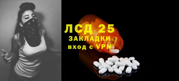 ПСИЛОЦИБИНОВЫЕ ГРИБЫ Арсеньев