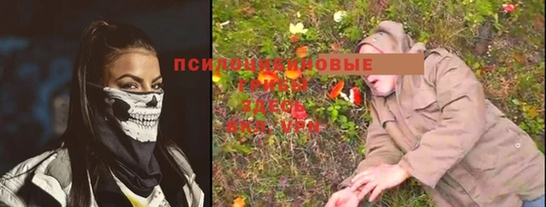 ПСИЛОЦИБИНОВЫЕ ГРИБЫ Арсеньев