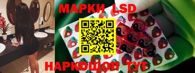 гидропоника Краснознаменск