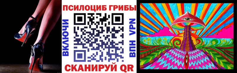 Галлюциногенные грибы Psilocybe  Жуковский 