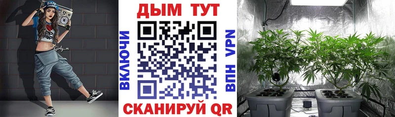 МАРИХУАНА Ganja Жуковский